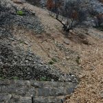 peljesac trstenik poplava 4