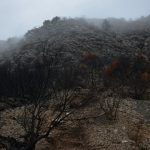 peljesac trstenik poplava 6