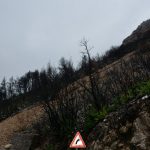 peljesac trstenik poplava 8
