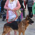 prosvjed psi zarkovica 12