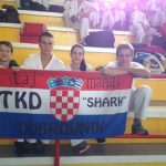 sharks taekwondo 2