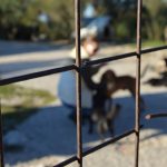 zarkovica prosvjed azil psi kucki 271015 11
