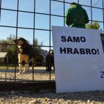 zarkovica prosvjed azil psi kucki 271015 15