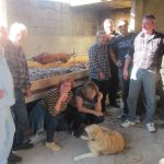 Likovna kolonija Brgat 11