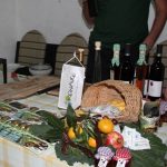 agroturizam rastika 031115 4