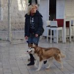 djir stradun 29112015 13
