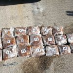 marihuana zapljena droga 301115 1