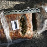 marihuana zapljena droga 301115 4
