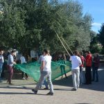 masline drzic028