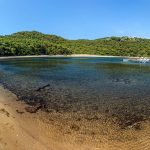 mljet