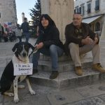 prosvjed stacionar 15