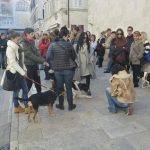 prosvjed stacionar 5