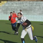 sharks 15