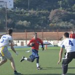 sharks 9
