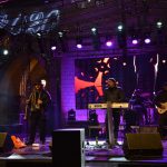 valetudo dariva30122015 12