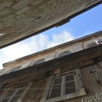 VIDEO/FOTO Požar u ulici Ilije Sarake! 9 vatrogasci pozar 13