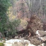 EKO OMBLIĆI: Kamionima devastiraju izletnički put u Šumetu! 2 eko omblici sumet devastacija 050116 3