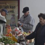 gruz placa spica28