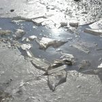 FOTO 'CRTICA' Gdje ima lokve, ima i leda! 1 led0 1