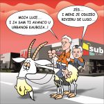 subcity1