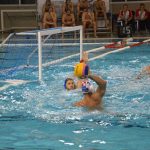 vaterpolo reprezentacija hrvatska crna gora 050116 43