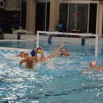 vaterpolo reprezentacija hrvatslka brazil 040116 23