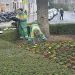 vrtlar0321