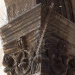 zica grad cavli 160116 1