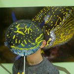 RADIONICA ZA DJECU 'Maškare i/ili mimikrija' u Prirodoslovnom muzeju Dubrovnik 3 Mimikrija Prirodoslovni muzej 3