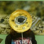 RADIONICA ZA DJECU 'Maškare i/ili mimikrija' u Prirodoslovnom muzeju Dubrovnik 4 Mimikrija Prirodoslovni muzej 4