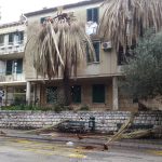 Palme pipa Lapad 2