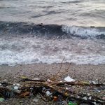 Trstenik Smece 4