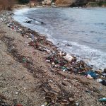 Trstenik Smece 5