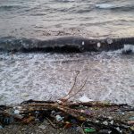 Trstenik Smece 6