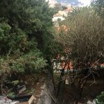 bogisic park otpad 5