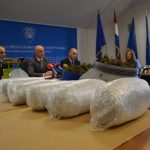 marihuana bacve droga zazablje 180216 11