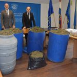 marihuana bacve droga zazablje 180216 2
