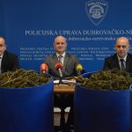 marihuana bacve droga zazablje 180216 21