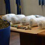 marihuana bacve droga zazablje 180216 4