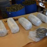 marihuana bacve droga zazablje 180216 5