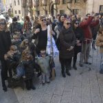 maskare vrtici103