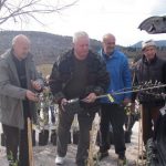 Tri tisuće sadnica maslina ukrasit će Pelješac! 2 podjela sadnica peljesac 2