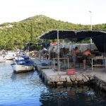Bota Sare Mali Ston 19