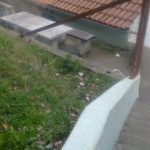 Vandalizam Eko Park 4