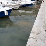 fekalije gruz 150316 2