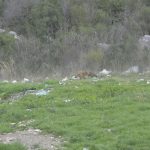 grabovica010 Copy