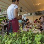 otto taverna restoran 15