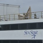 sea star star wars10