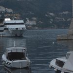 sea star wars015