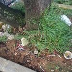 sprice droga stjepana cvijica
